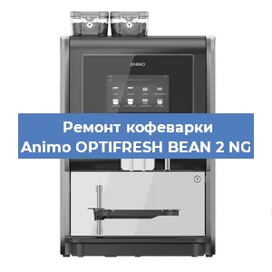 Замена | Ремонт термоблока на кофемашине Animo OPTIFRESH BEAN 2 NG в Тюмени